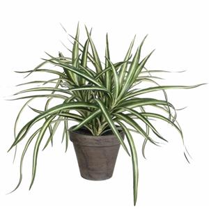 Mica Decorations Kunstplant Dracaena in Bloempot Stan | 