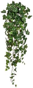 Creativ green Kunstplant Engelse klimophanger (1 stuk)