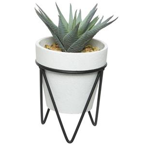 Decoris Kunstplant - Vetplant - In Potje Met Standaard - 18 Cm