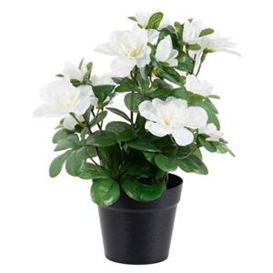 Louis maes Kunstplant Azalea - In Pot - Wit - H25 Cm