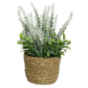 Everlands Lavendel Kunstplant In Plantenmand - Wit - D12 X H26 Cm