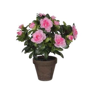 Mica Decorations Azalea Roze In Pot Stan Grijs (dia 11) Maat In Cm: 27 - Grijs