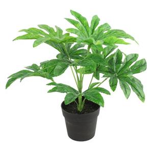 Countryfield Kunstplant Fatsia In Bloempot - Groen - 15 X 32 Cm