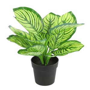 Countryfield Kunstplant Calathea In Bloempot - Groen - 15 X 28 Cm