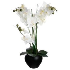 Atmosphera Kunstplant Orchidee - Witte Bloemen In Zwarte Pot - H53 Cm