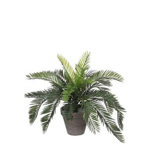 Mica Decorations Cycas Palm Kunstplant - 44x44x37 Cm - Pvc - Groen