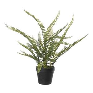 Louis maes Kunstplant - Varen Nephrolepis - Groen - 50 Cm