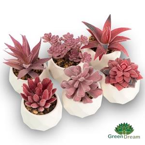 GreenDream Kunstplantjes Set 6 Kunstplanten In Diamantvorm Potje - Cadeautip - Roze