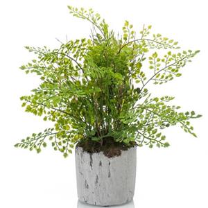 Emerald Groene Kunstplant Varen 28 Cm In Pot