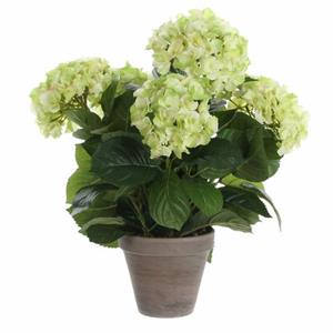 Mica Decorations Kunstplant Hortensia - Lichtgroen - In Pot - 45 Cm