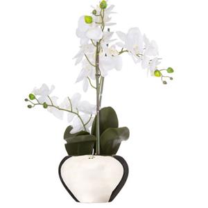 ATMOSPHERA Orchidee Bloem Kunstplant - Wit - H56 X B40 Cm