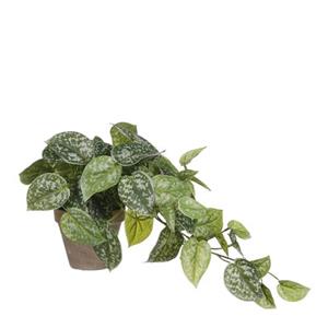 Mica Decorations Scindapsus Kunstplant - 17x17x44 Cm - Groen