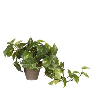 Mica Decorations Pothos Kunstplant - 17x17x44 Cm - Groen