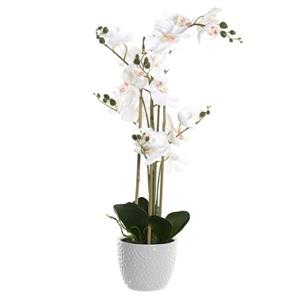 Items Kunstplant Orchidee - Witte Bloemen En Pot - H77 Cm