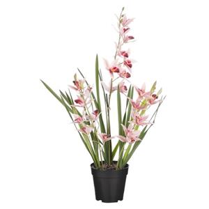 Mica Decorations Orchidee Bloem Kunstplant - Perzik Roze - H66 X B34 Cm