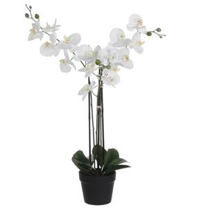 Mica Decorations Orchidee Bloem Kunstplant - Wit - H75 X B50 Cm