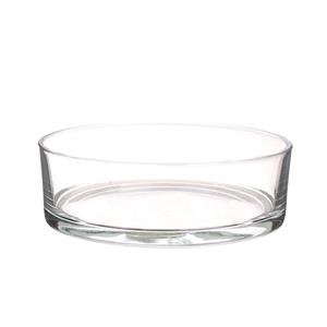 Merkloos Lage schaal/vaas transparant glas cilindervormig 8 x 25 cm -