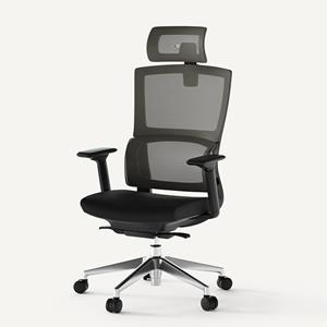 FlexiSpot Bureaustoel BS2