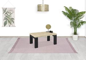 Industrielemeubelshop Steigerhouten salontafel Cibollo met N poten