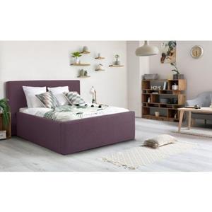 INOSIGN Bekleed ledikant DALINA rechtlijnig hoofdbord, in 5 breedten, ook in 220 cm lengte