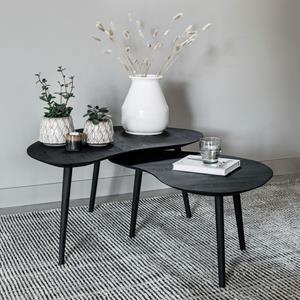 DTP Home Organische Salontafel Organus Teakhout, Set van 2 stuks - Zwart