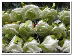 Decoflorall foam roos Elegant 5 cm. cremeGroen / st foam roos Eleg