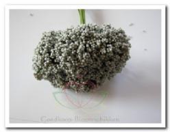 Decoflorall Fieldberries Antraciet zilvergrijs bundel voor bloemschi Fieldberries An