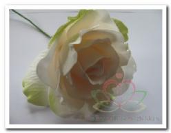 Decoflorall Actie foamrose Sophie Cremepeach-Groen 14 cm.  van E 19.79 voor E 9.99 / DOOS12 foamrose Sophie