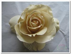 Decoflorall foam Rose Sofia 14cm. Cava Doos 12 voordeelpak