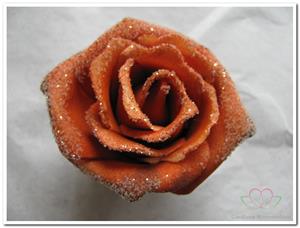 Decoflorall foam Rose Emilia 6cm. snow Rusty / stuk per stuk