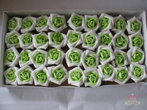 Decoflorall Actie Equadorroos Platte Roos Creme-Groen DOOS op=op CremeGroen