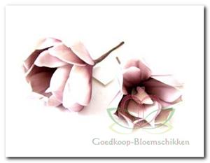 Decoflorall Magnolia foambloem Kort Old Pink DOOS 12 stuks Magnolia