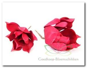 Decoflorall Magnolia foambloem Kort Rood DOOS 12 stuks Magnolia