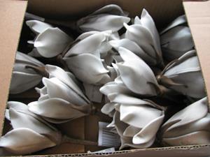 Decoflorall Magnolia foambloem Kort Taupe DOOS 12 stuks Magnolia