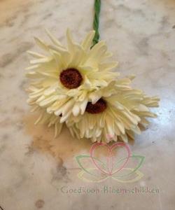 Decoflorall Aster Gerbera foambloem DOOS 30st crèmeGroen  Gerbera foambloemen