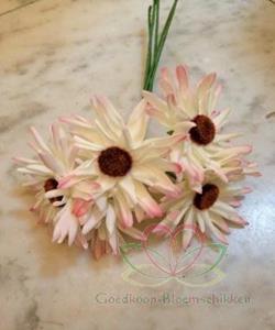 Decoflorall Aster Gerbera foambloem DOOS 30st crèmepink Gerbera foambloemen