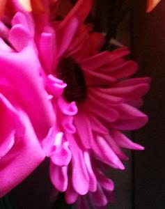 Decoflorall Aster Gerbera foambloem DOOS 30st NEON Pink Gerbera foambloemen
