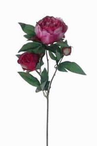 Decoflorall Pioenroos Pioen Beauty Pink 63cm. Pioen