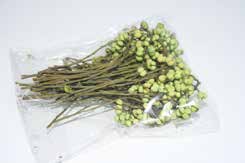 Decoflorall Mini berrie, mini bolletjes 50 gram LGroen  Voor corsages
