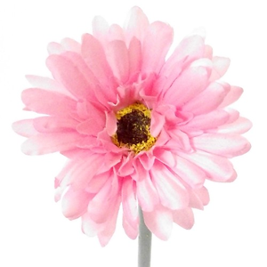 Decoflorall Gerbera 50 cm. FS ROZE Gerbera