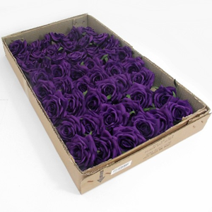 Decoflorall CURVE ROSE CAD PURPLE DOOS48 st Flowerwall bruidsboeket