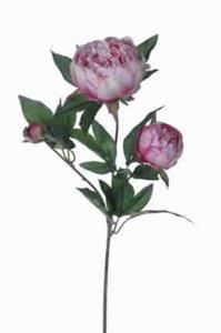 Decoflorall Pioenroos Pioen Lilac 63cm. Pioen