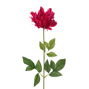 Decoflorall SHAGGY DAHLIA FUCHSIA /st SHAGGY DAHLIA FUCHSIA
