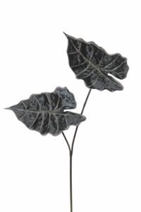 Decoflorall Alocasiabladx2 l50cm. dk Groen  Alocasiabladx2 l50cm. dk