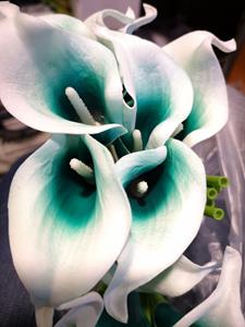 Decoflorall Calla Real Touch WIT+ Teal Center +/- 7 cm. en 37cm lang. / st Calla Real Touch +/- 7 cm.