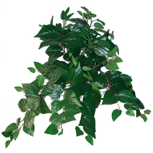 Decoflorall Hanger vuller 55cm. PHILO BUSH GREEN Groen e hangplanten
