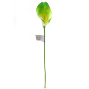 Decoflorall Calla Real Touch Groen +/- 7 cm. en 37cm lang. / st Calla Real Touch +/- 7 cm.