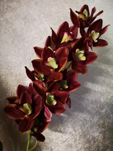 Decoflorall Orchidee Cymbidium zijde 96cm. foto purple Orchidee