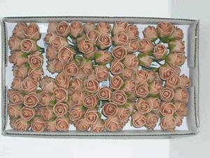 Decoflorall Actie Mini foam roos 2 cm. Sand / doosje 144 Mini foam roos
