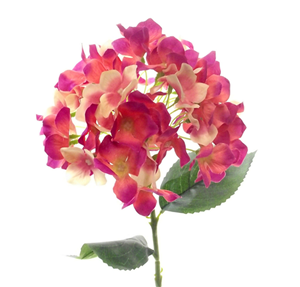 Decoflorall Hortensia 45cm. SINGLE HYDRANGEA BEAUTY Hortensia